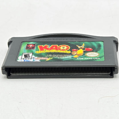 Kao the Kangaroo (Nintendo GameBoy Advance, 2001)