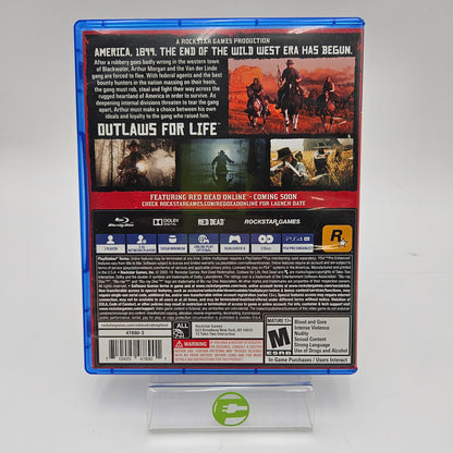Red Dead Redemption 2 (Sony PlayStation 4 PS4, 2018)