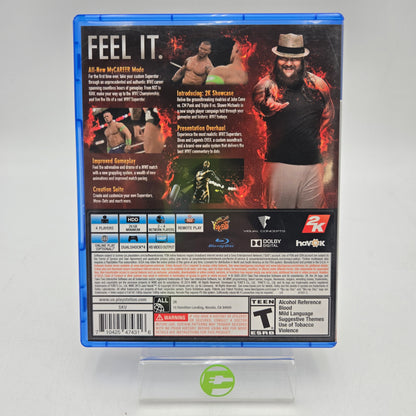 WWE 2K15 (Sony PlayStation 4 PS4, 2014)
